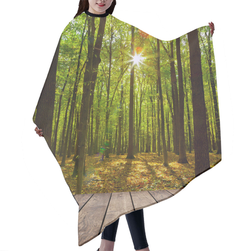 Personality  Autumn Forest Trees. Hair Cutting Cape