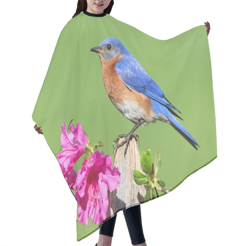 Personality  Eastern Bluebird Hair Cutting Cape