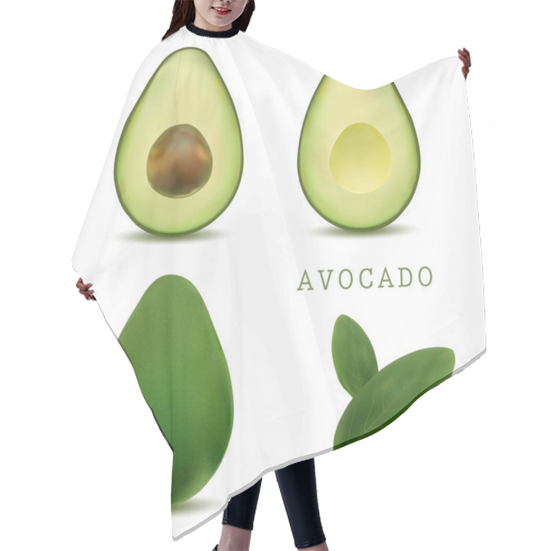 Personality  Realistic Vector Avocados Illustration. Whole And Cut Avocado Isolated On White Background. Bright Vector Set Of Colorful Half, Slice And Whole Of Fresh Avocado. Hair Cutting Cape