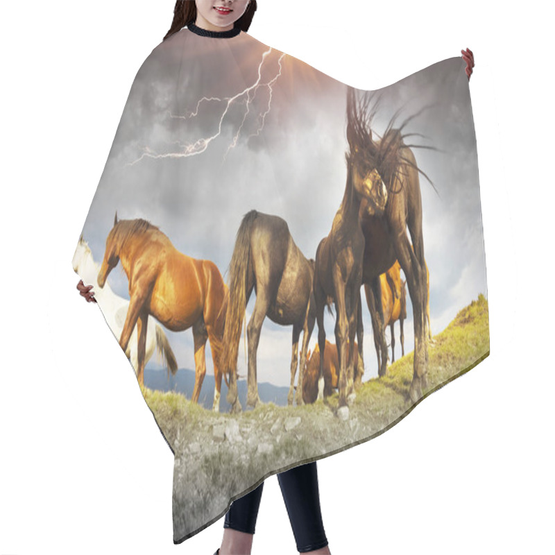 Personality  Horses At The Top In A Thunderstorm Hair Cutting Cape