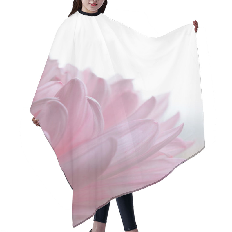 Personality  Close Up Image Of The Beautiful Pink Chrysanthemum Flower Hair Cutting Cape