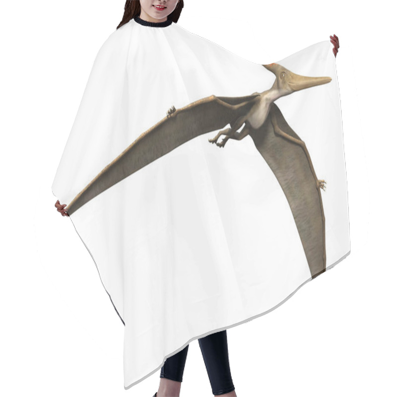 Personality  3D Rendering Pteranodon On White Hair Cutting Cape