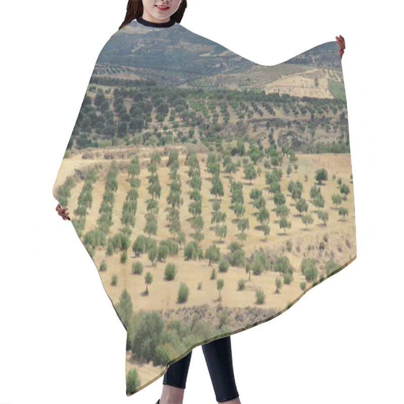 Personality  Crete, Greece, Olive Trees, Plantation Hair Cutting Cape