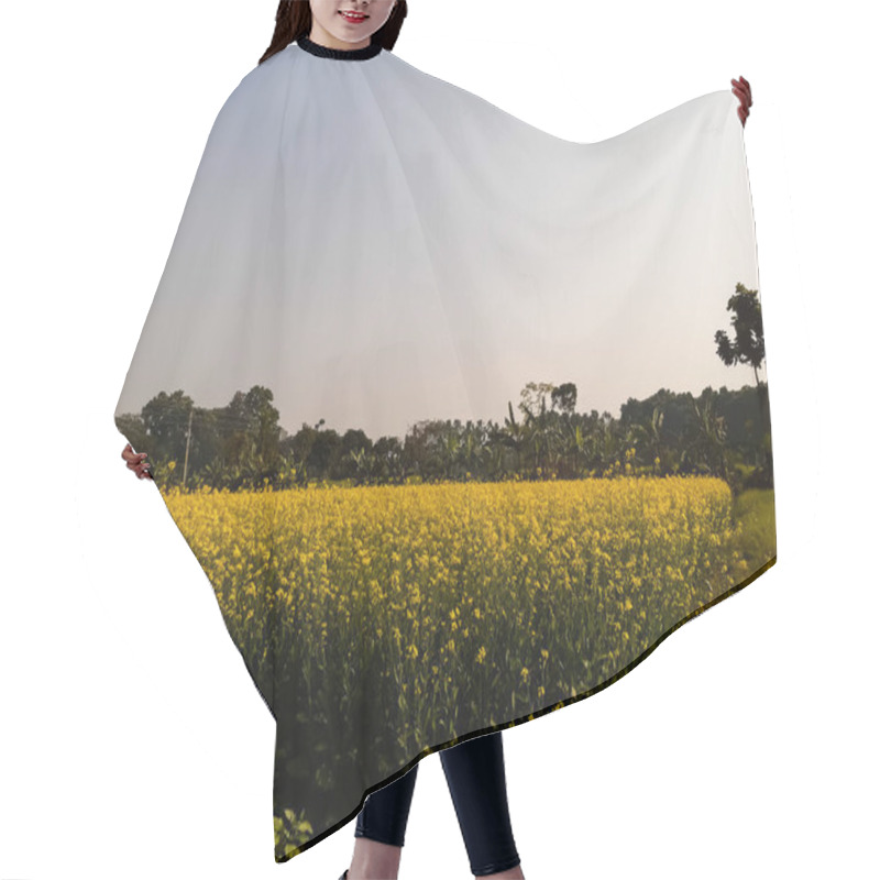 Personality  Green Mustard Land And Yellow Flower, Blue Sky And Green Background. Hair Cutting Cape