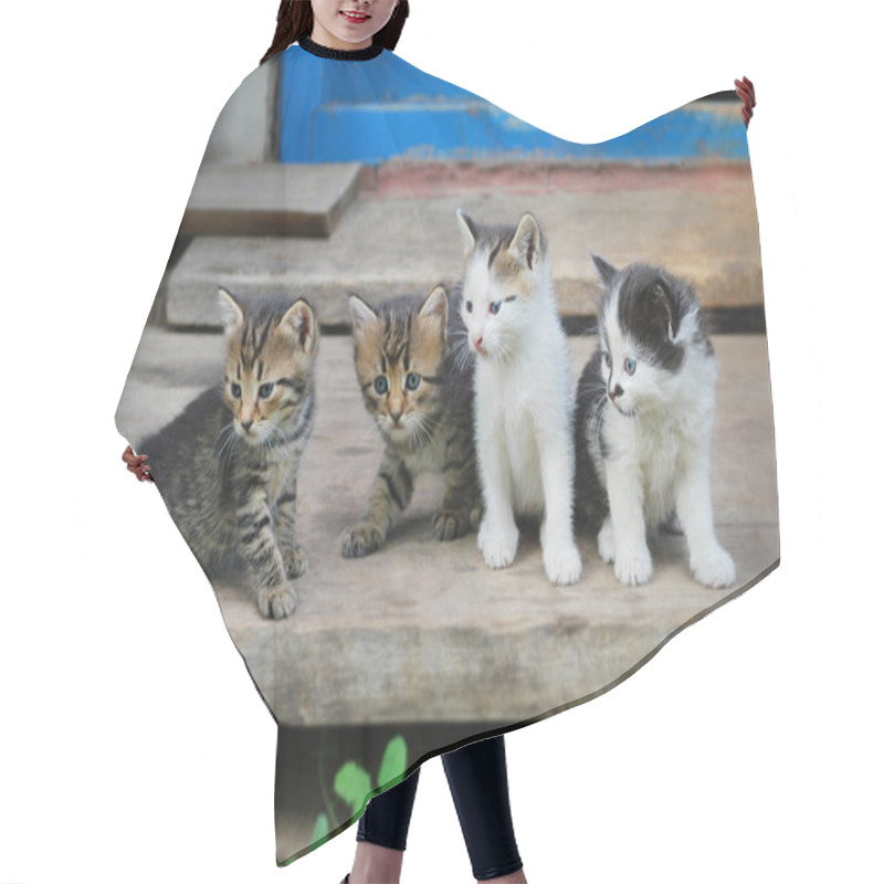 Personality  Four Funny Kitten Hair Cutting Cape