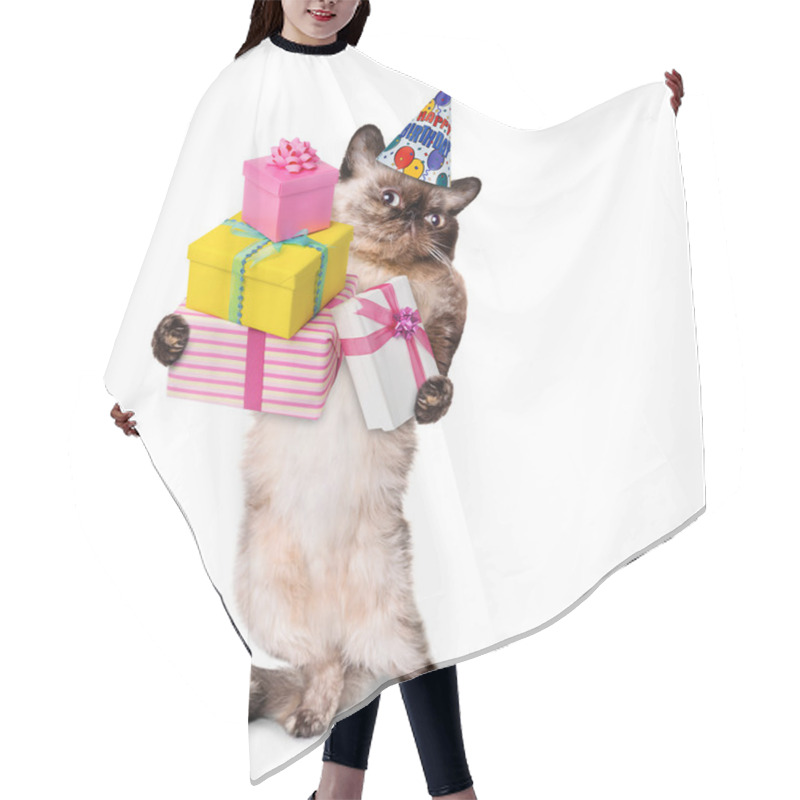 Personality  Birthday Cat . Hair Cutting Cape