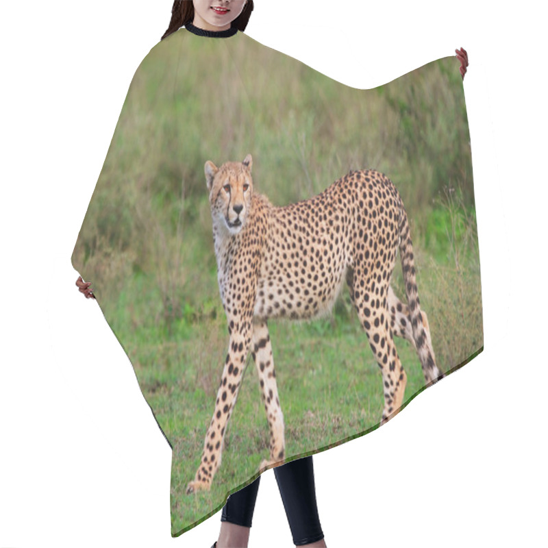 Personality  Cheetah Hair Cutting Cape