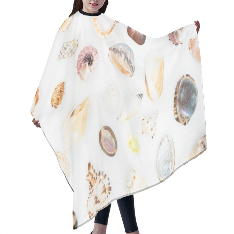 Personality  Various Sea Shells On White Hair Cutting Cape