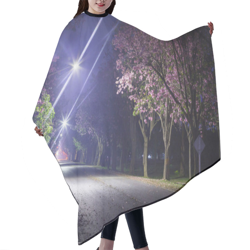 Personality  Scenic Shot Of Blossoming Cherry Trees In Spring Park At Night Hair Cutting Cape