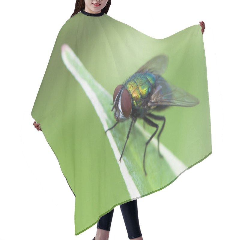 Personality  Fly On A Leaf Hair Cutting Cape