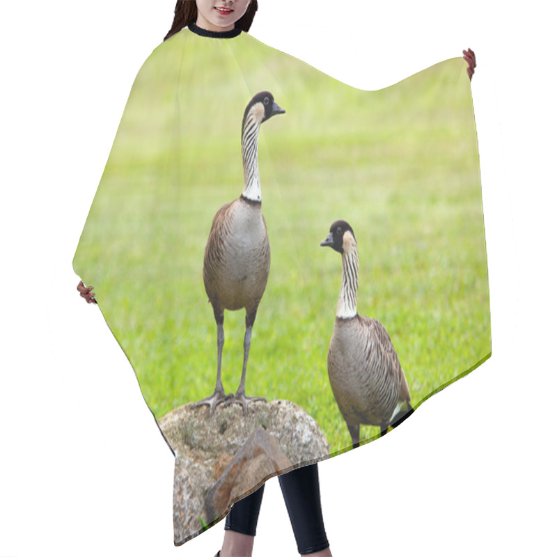 Personality  Pair Of Nene Geese Hair Cutting Cape