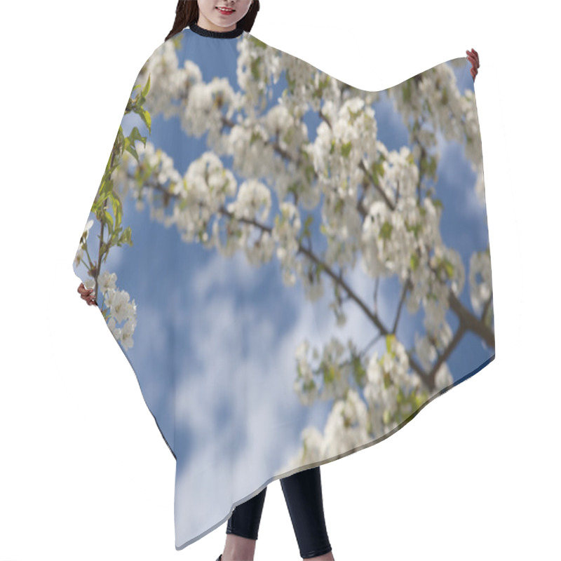 Personality  Spring - Blossoming Tree Against Lovely Blue Sky Hair Cutting Cape