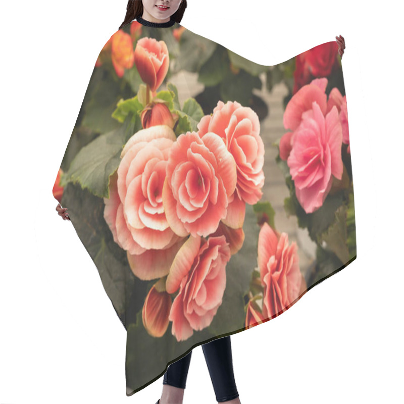 Personality  Image Of Bright Spring Flowers On The Streets Of Italy Hair Cutting Cape