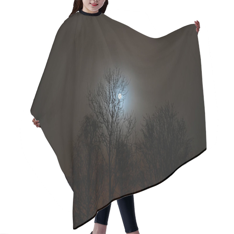 Personality  Full Moon Trough Tree Branches A Misty Night In October Hair Cutting Cape