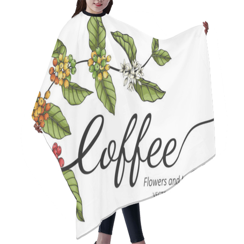 Personality  Coffee Flower And Leaf Drawing Illustration With Line Art On White Backgrounds. Hair Cutting Cape