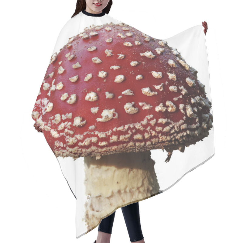 Personality  Toadstool Hair Cutting Cape