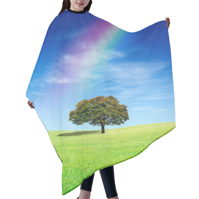 Personality  Idyllic View, Lonely Tree With Rainbow On Green Field Hair Cutting Cape