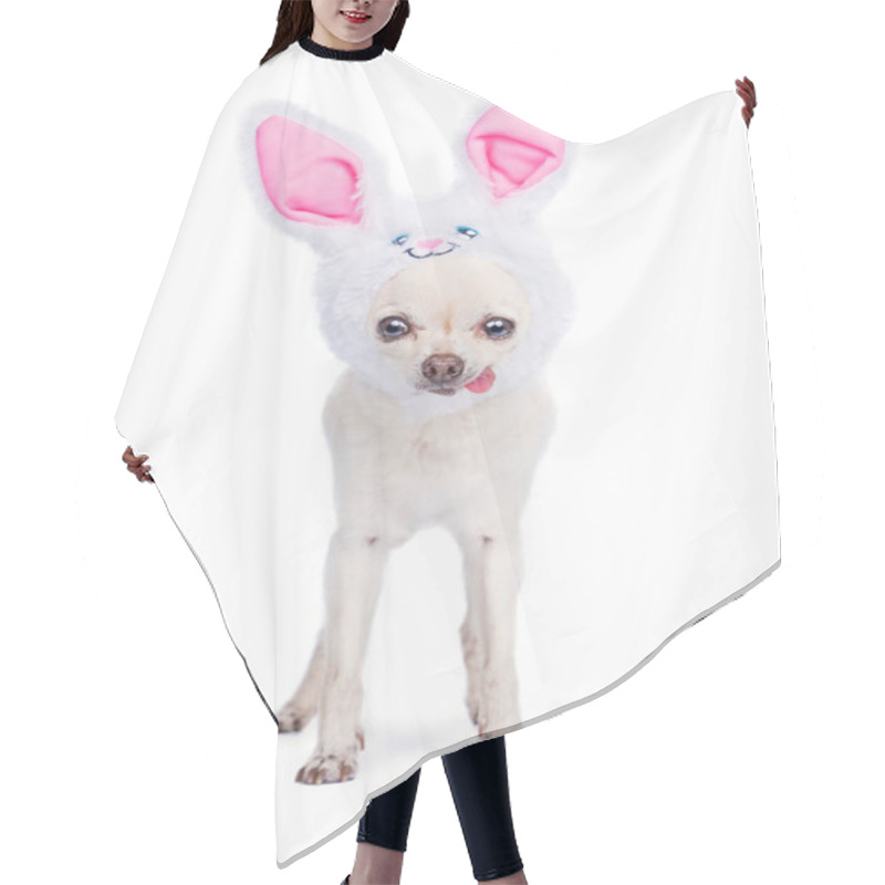 Personality  Cute Chihuahua Wearing Bunny Ears Isolated On A White Background Hair Cutting Cape