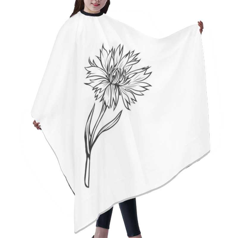 Personality  Cornflower Black Ink Vector Illustration. Summer Meadow Flower, Honey Plant With Name Engraved Sketch. Common Knapweed Outline. Centaurea Nigra Botanical Black And White Drawing With Inscription Hair Cutting Cape