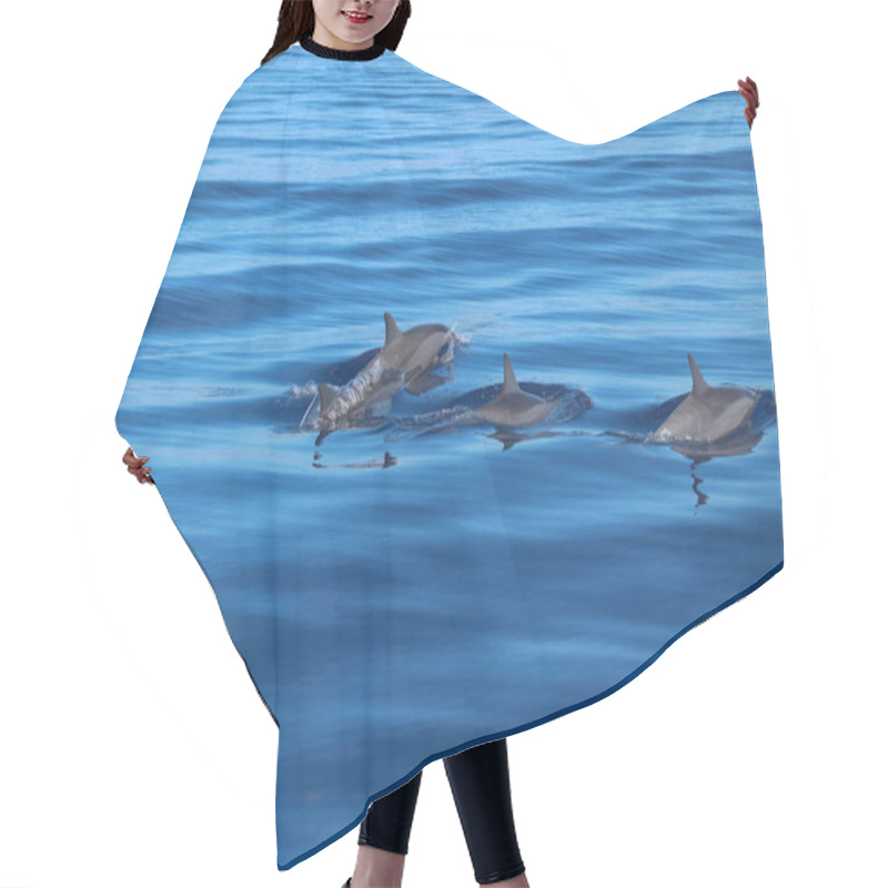 Personality  Four Dolphin Fins Emerging From The Deep Waters Hair Cutting Cape