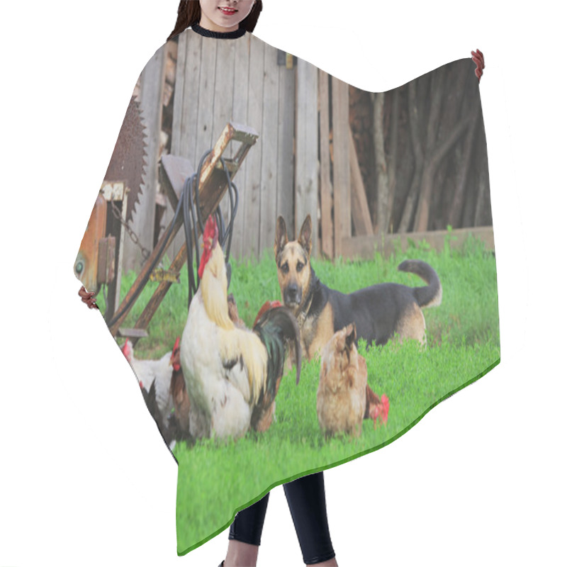 Personality  Rural Landscape With Farm Animals. Hair Cutting Cape