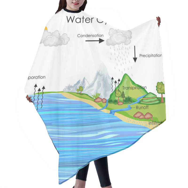 Personality  Education Chart Of Water Cycle Diagram Hair Cutting Cape