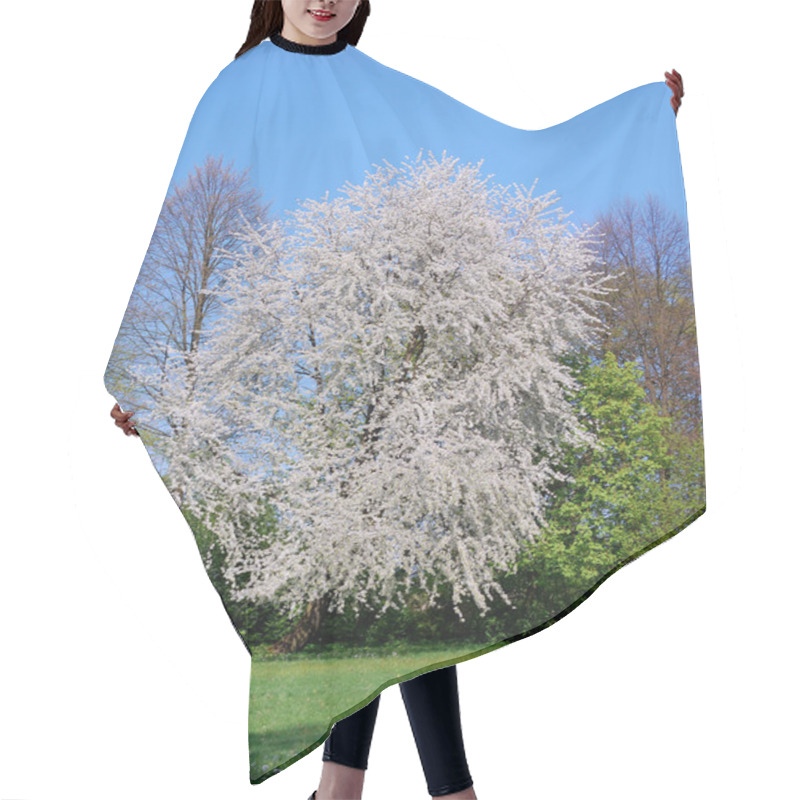 Personality  White Flowering Cherry Tree Hair Cutting Cape