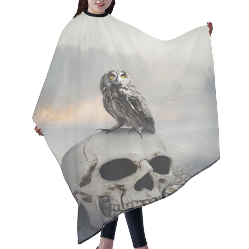 Personality  Owl On The Skull. Halloween Mystical Scene Hair Cutting Cape