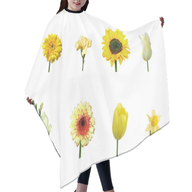 Personality  Single Yellow Flowers, Isolated Hair Cutting Cape