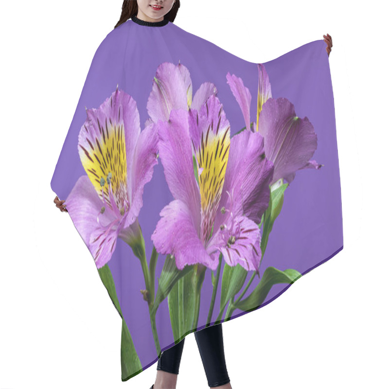 Personality  Vibrant Purple Alstroemeria Navarro Flowers With Yellow And Black Markings, Captured On A Purple Background Hair Cutting Cape