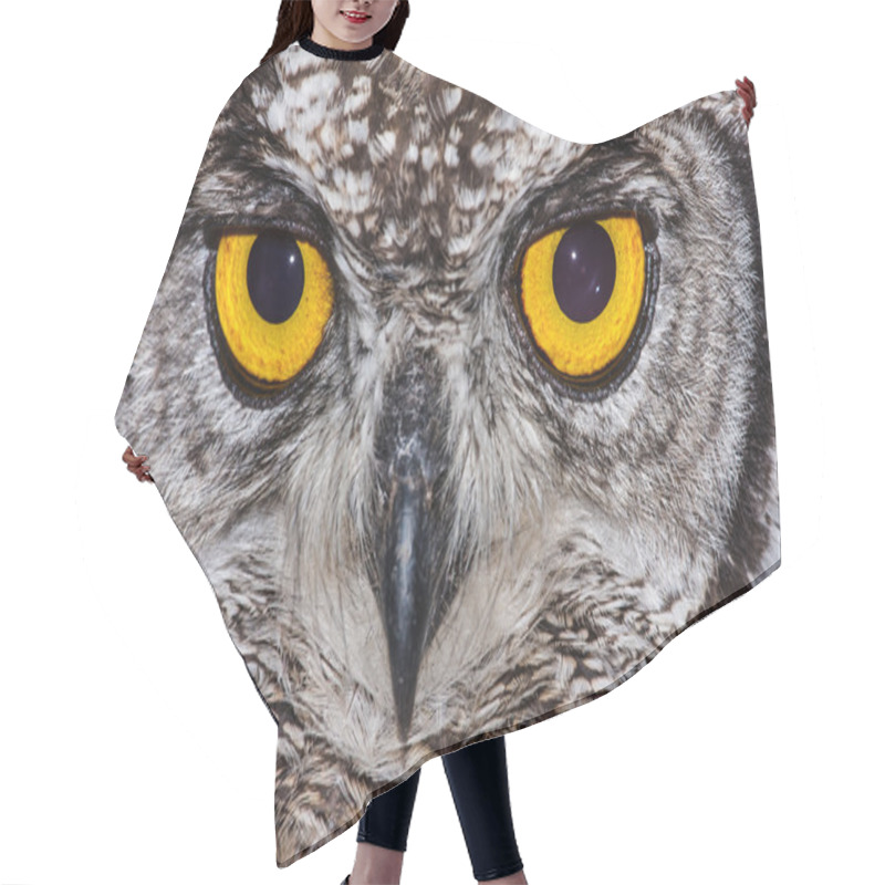 Personality  Spotted Eagle Owl Hair Cutting Cape