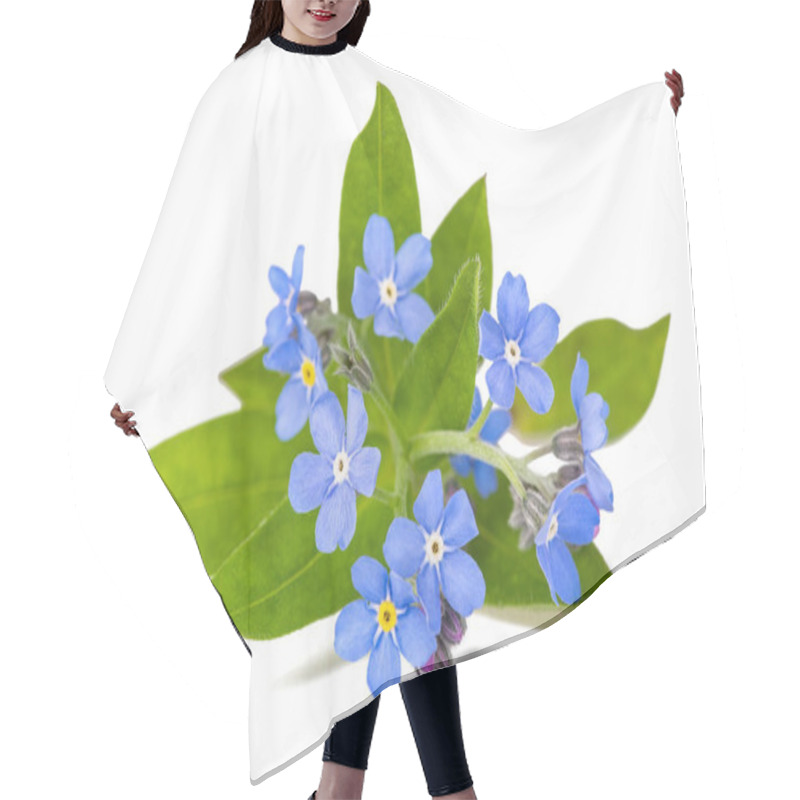 Personality  Forget Me Not (Myosotis) Flowers On White Background Hair Cutting Cape