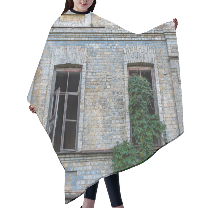 Personality  Facade Of Abandoned Building With Wild Grape On Wall And Window Hair Cutting Cape