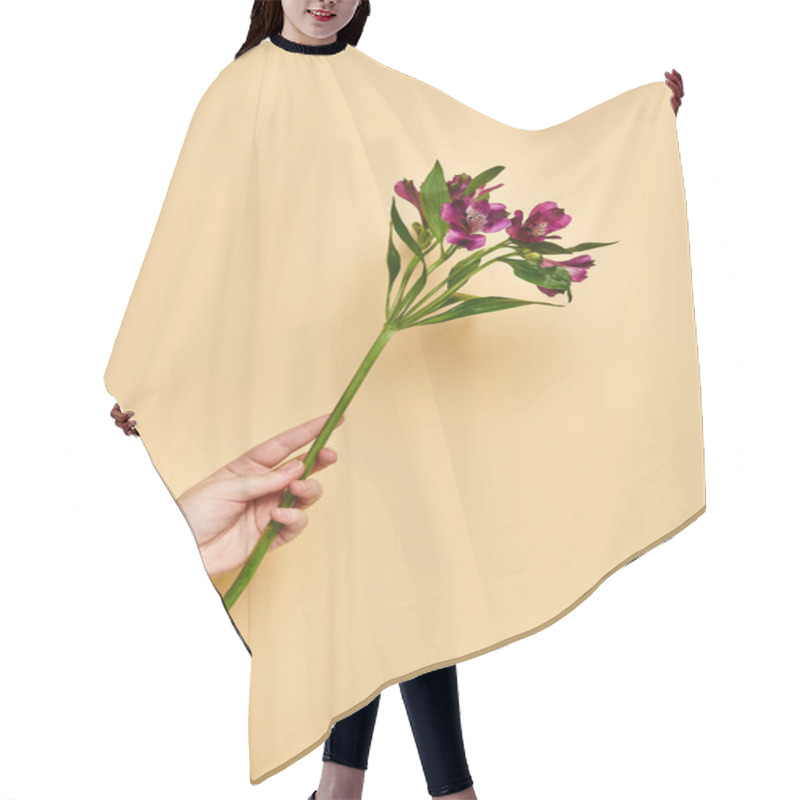 Personality  Object Photo Of Beautiful Lilies In Hand Of Unknown Woman With Nail Polish On Pastel Yellow Backdrop Hair Cutting Cape