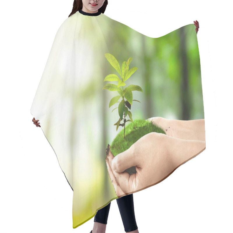 Personality  Human Hands Holding Soil With Growing Plants Above It In The Park. Earth Day Concept Hair Cutting Cape