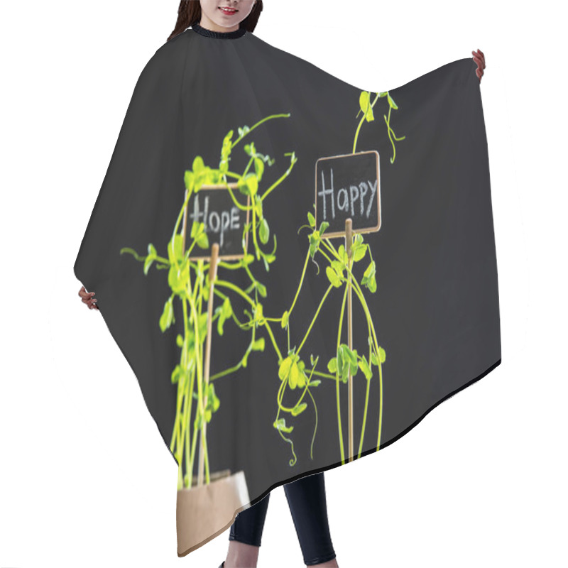 Personality  Fresh Green Plants And Cards  Hair Cutting Cape