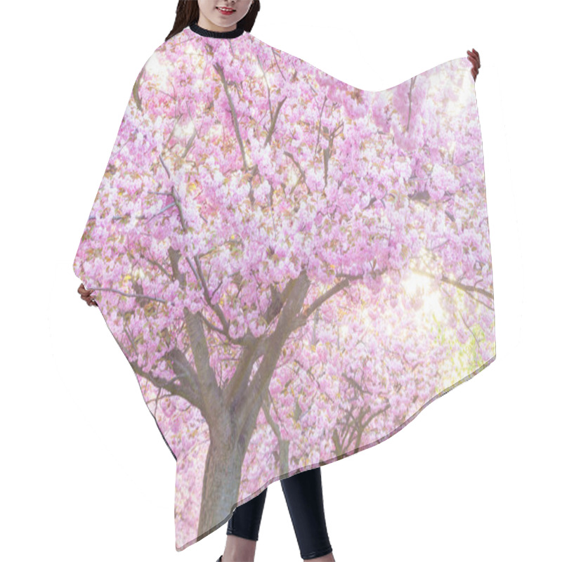 Personality  Beauty Pink Flowering Ornamental Trees Hair Cutting Cape