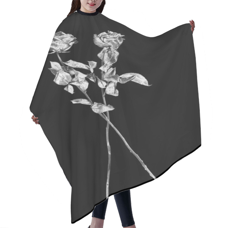 Personality  Two Silver Rose Flowers Black Background Isolated Close Up, Black And White Long Stem Roses Bouquet, Beautiful Shiny Gray Metal Flower And Leaves, Decorative Floral Design Element, Vintage Decoration Hair Cutting Cape