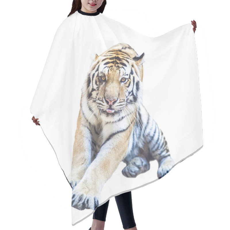 Personality  Portrait Of A Royal Bengal Tiger Hair Cutting Cape