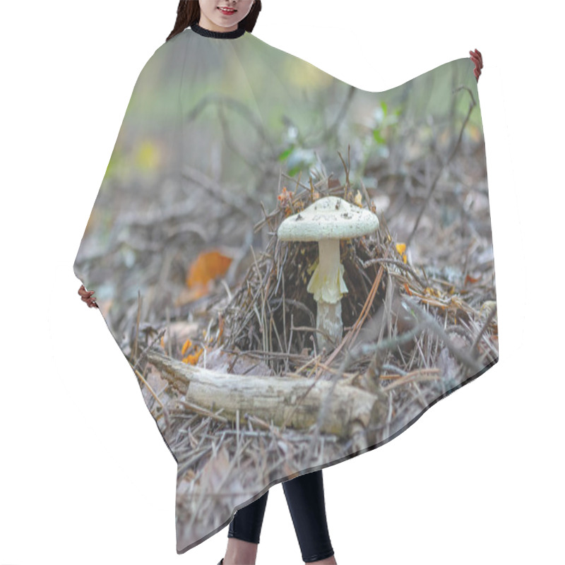 Personality  Mushroom-non-edible Mushroom Amanita Phalloides Hair Cutting Cape