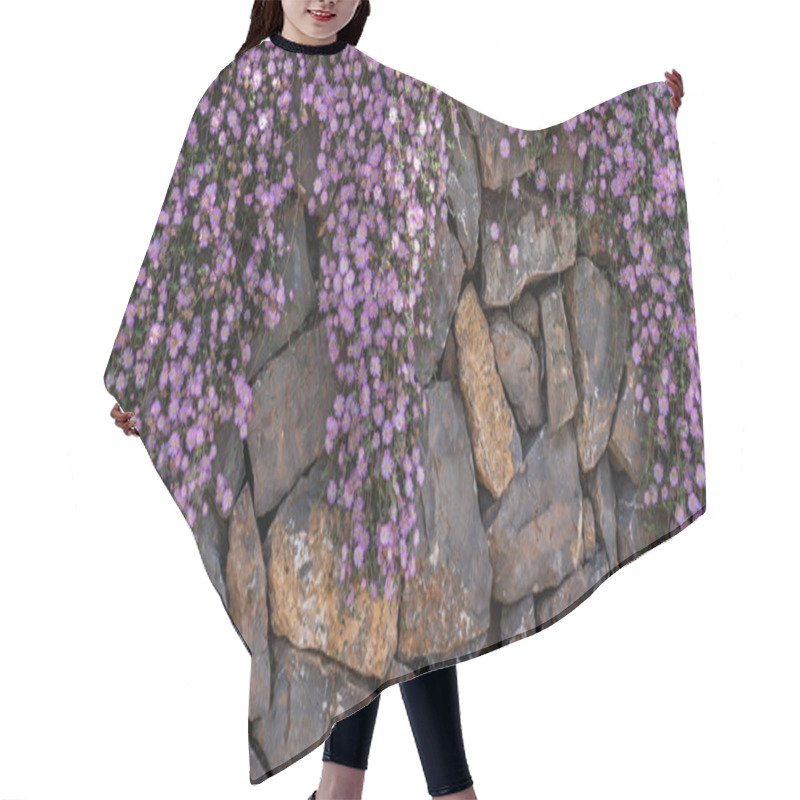 Personality  Bright Purple Flowers Cascade Over A Rustic Stone Wall, Creating A Vibrant Contrast Against The Earthy Tones Of The Rocks. Hair Cutting Cape