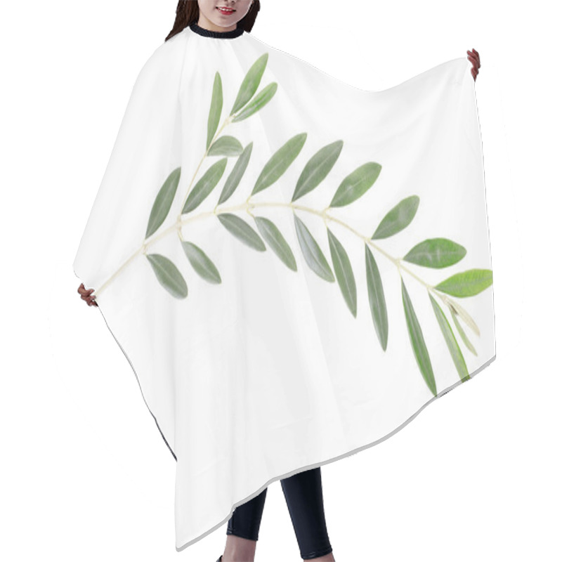 Personality  Olive Branch, Peace Symbol Hair Cutting Cape