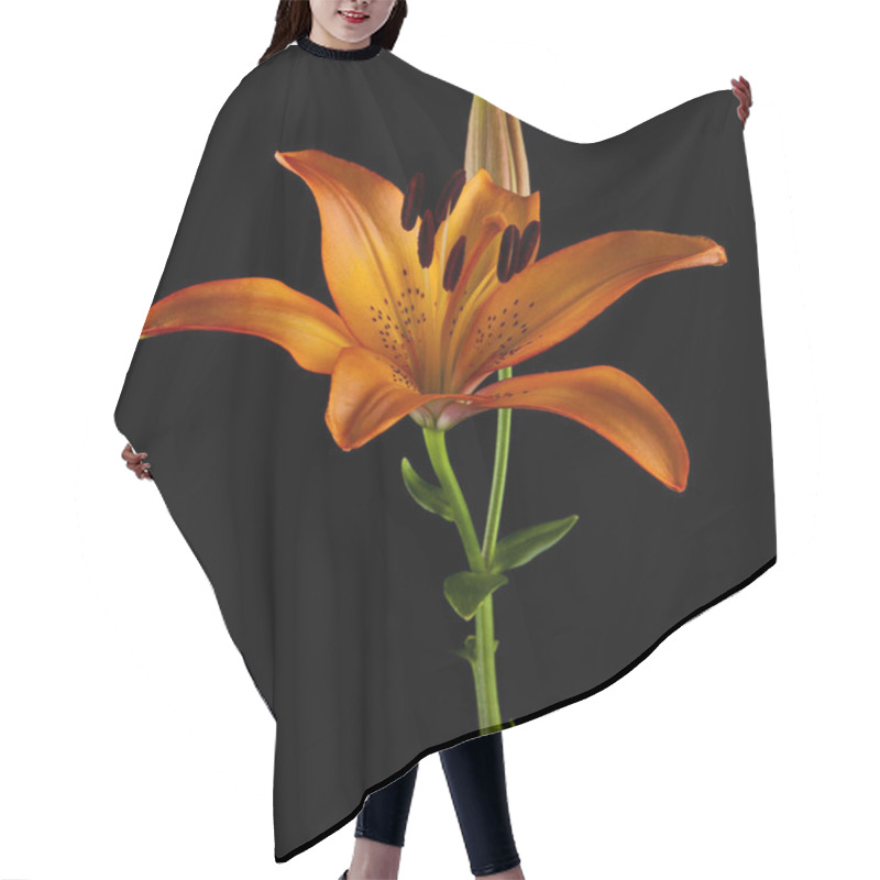 Personality  Lilies Isolated On Black Background Hair Cutting Cape