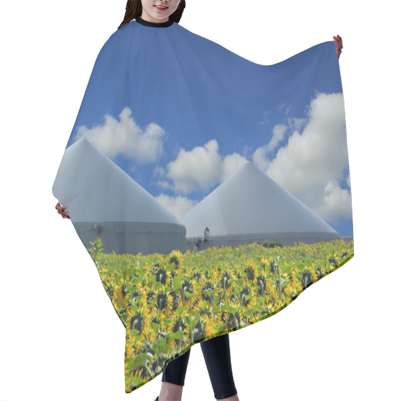 Personality  Biogas Plant Hair Cutting Cape