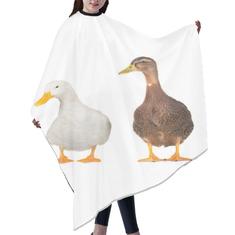 Personality  Two Ducks Hair Cutting Cape