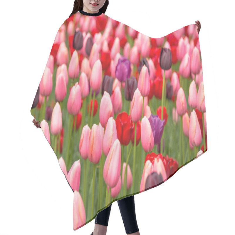 Personality  Pink Tulips Hair Cutting Cape