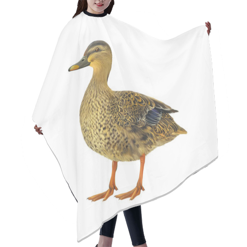 Personality  Female Mallard Duck Isolated On White Background Hair Cutting Cape