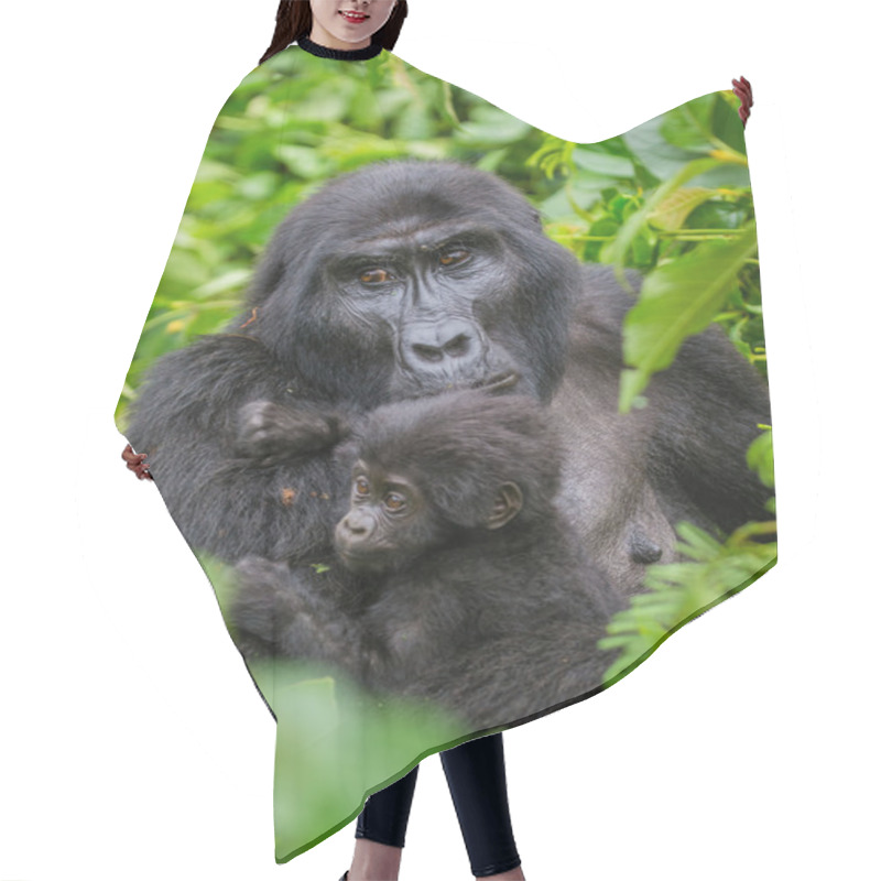 Personality  Mother Congo Gorilla With Cub Hair Cutting Cape