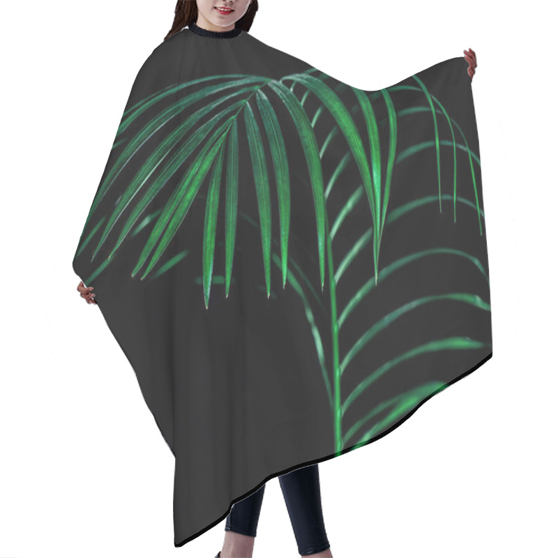 Personality  Green Tropical Palm Leaf, Isolated On Black Hair Cutting Cape