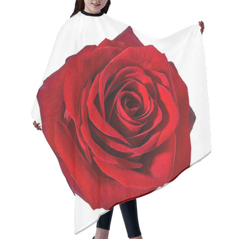 Personality  Rose Isolated On White Background Hair Cutting Cape